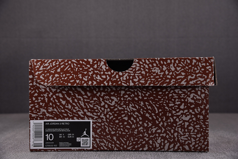 Air Jordan 3 "Palamino" CT8532-102