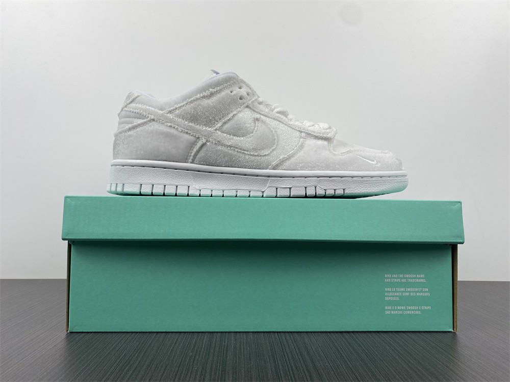 Dover Street Market Nike Dunk Low DH2686-100