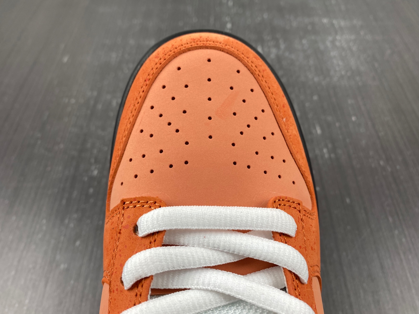 Concepts x Dunk Low SB 