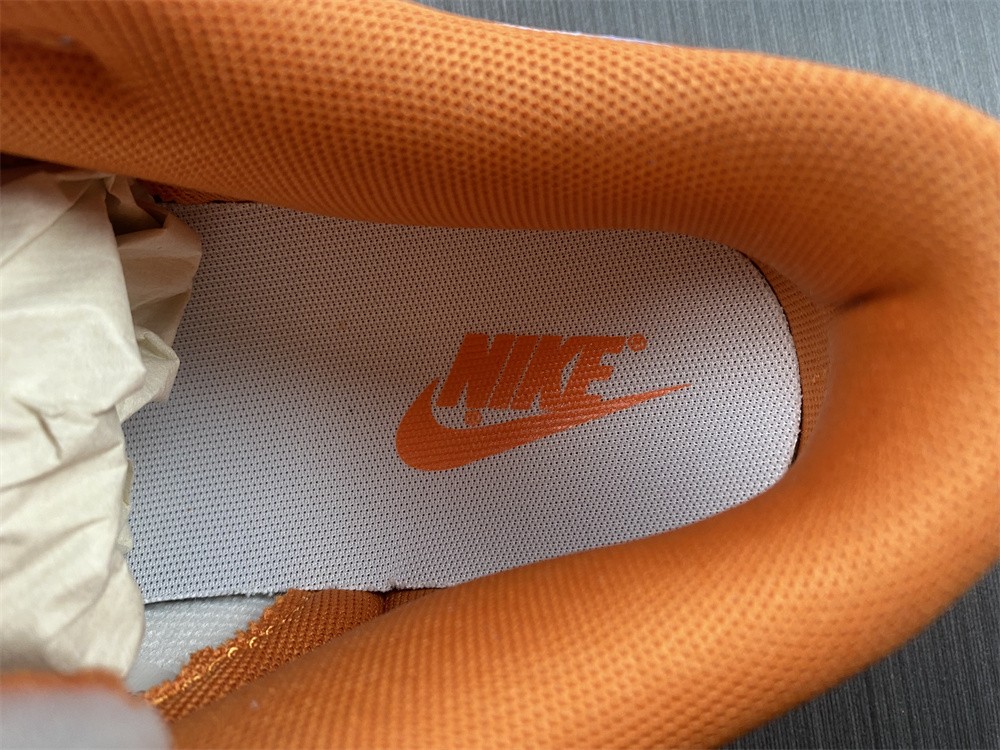 Katsuhiro Otomo x Nike Dunk Low "Steam Boy"