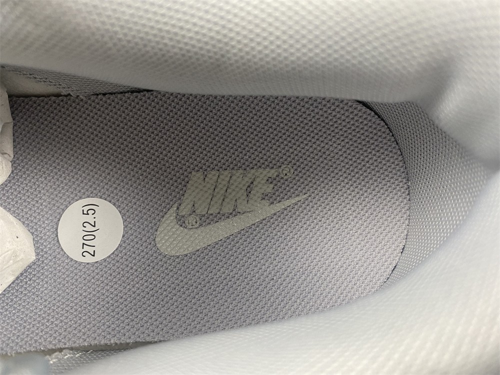 Nike Dunk Low Two Tone Grey DJ6188-001