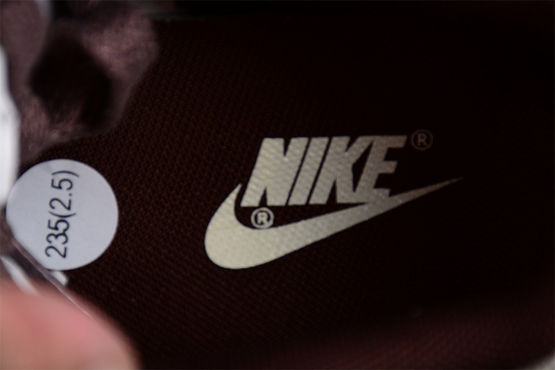 Nike Dunk Low  "Plum Eclipse" FJ4734-100