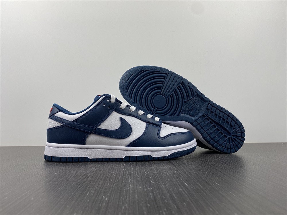 Nike Dunk Low Valerian Blue DD1391-400