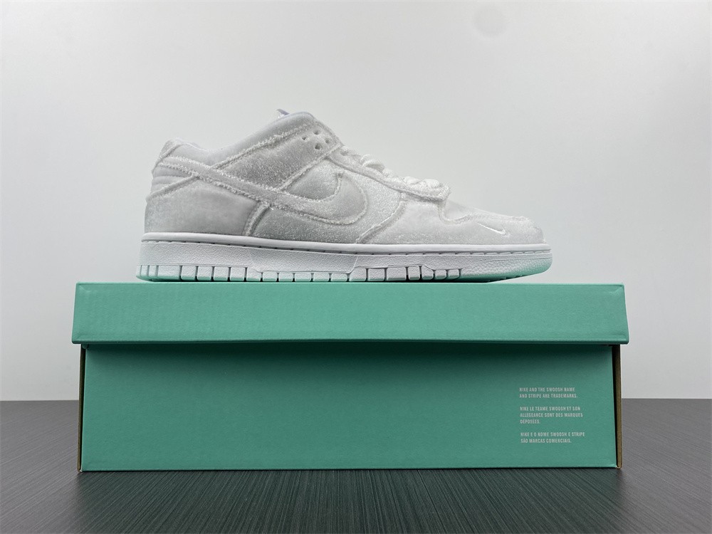 Dover Street Market Nike Dunk Low DH2686-100