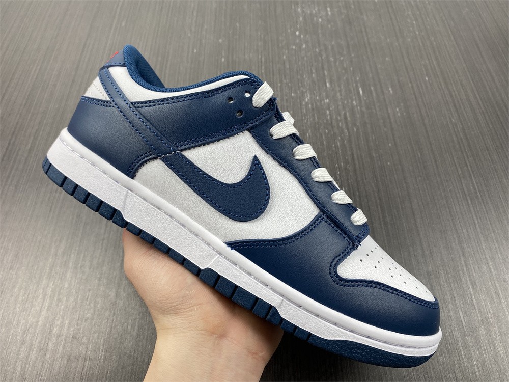 Nike Dunk Low Valerian Blue DD1391-400