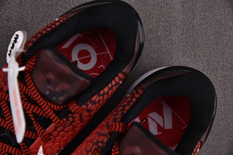 Nike Zoom Kobe 6 Protro