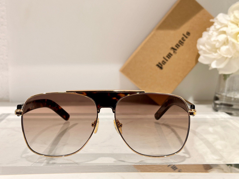 PALM ANGLES SUNGLASSES 202304007