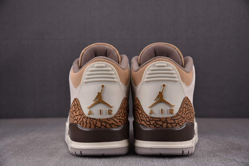 Air Jordan 3 "Palamino" CT8532-102