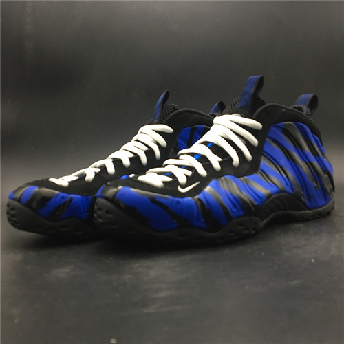 Nike Air Foamposite One Memphis Tigers - BV8161-400