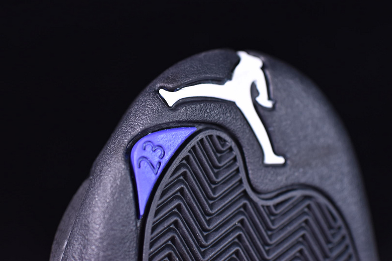 Air Jordan 12 Black Dark Concord CT8013-005