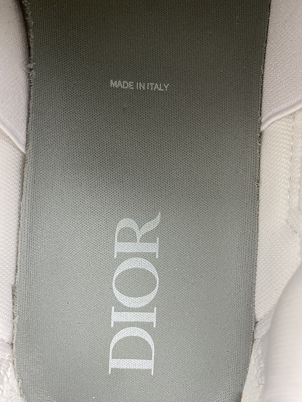 DIOR B30 SNEAKER