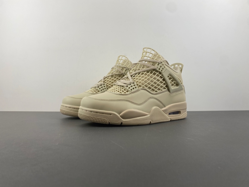 Air Jordan 4 Net FN7251-200