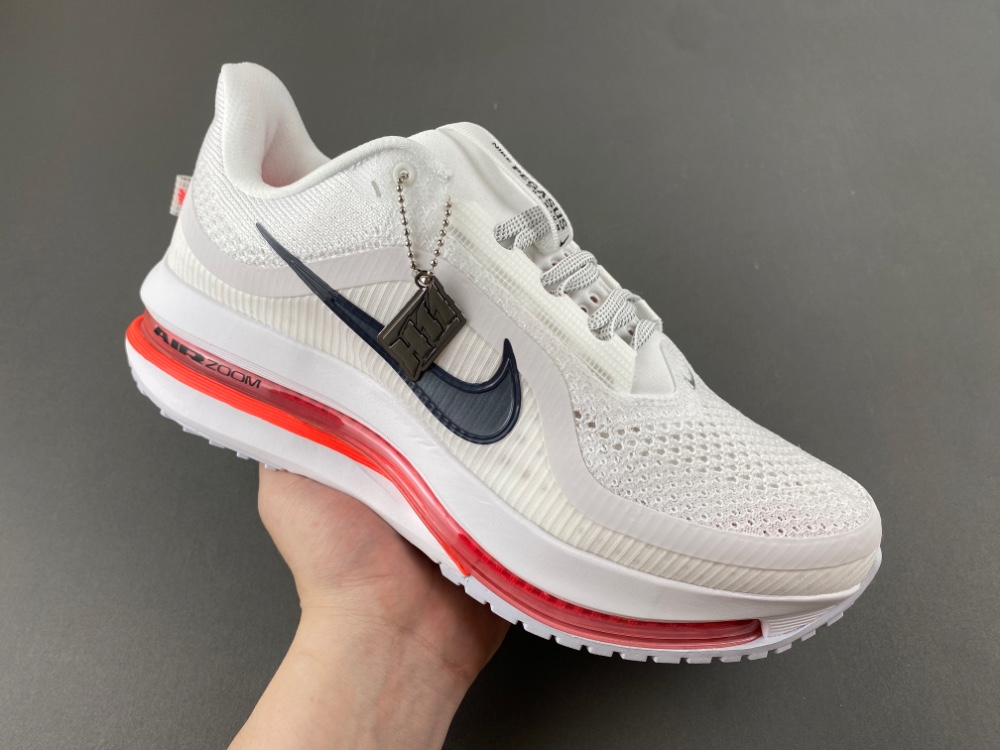 Nike Pegasus Premium Summit 