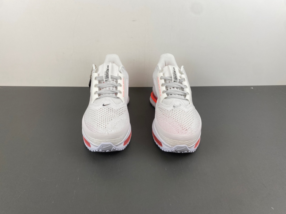 Nike Pegasus Premium Summit 