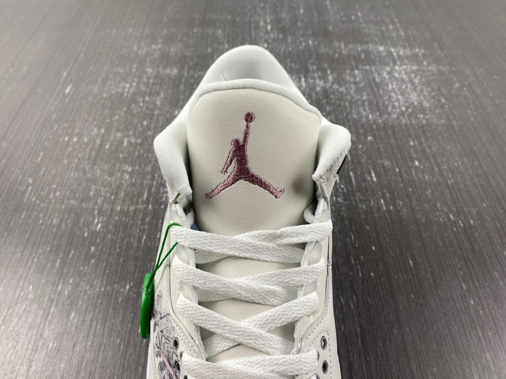 Air Jordan 3 FN0344-666