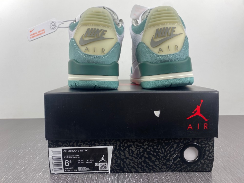 Air Jordan 3 DT8532-130