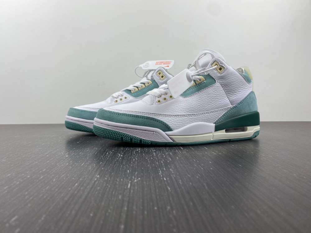 Air Jordan 3 DT8532-130