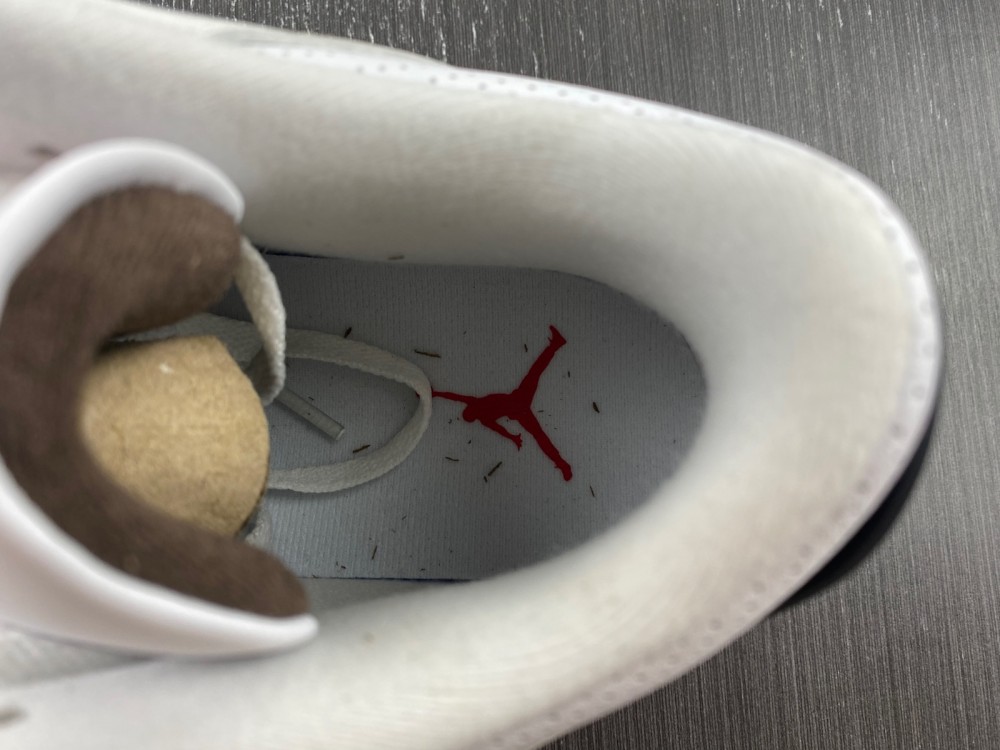 Travis Scott x Air Jordan 3 136064-168