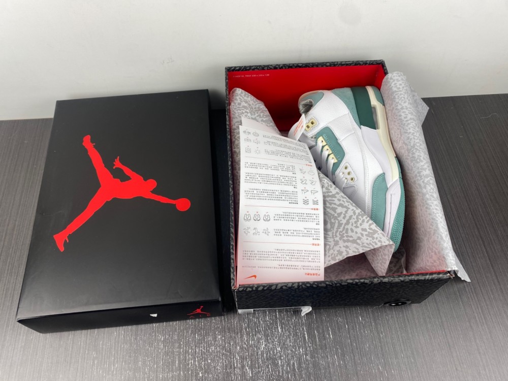 Air Jordan 3 DT8532-130