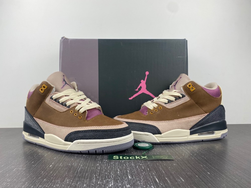 Air Jordan 3 Retro SE AJ3 DR8869-200