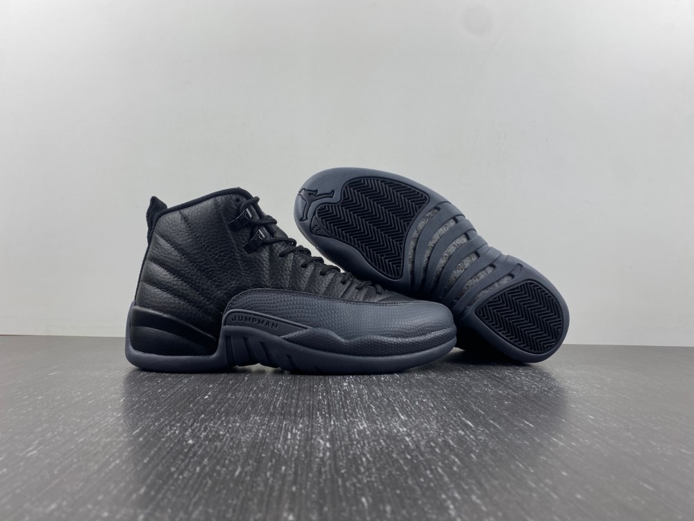 Air Jordan 12 BQ6852-001