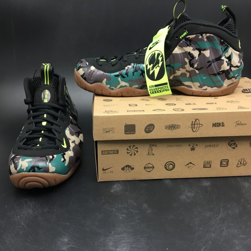 Nike Air Foamposite  587547-300