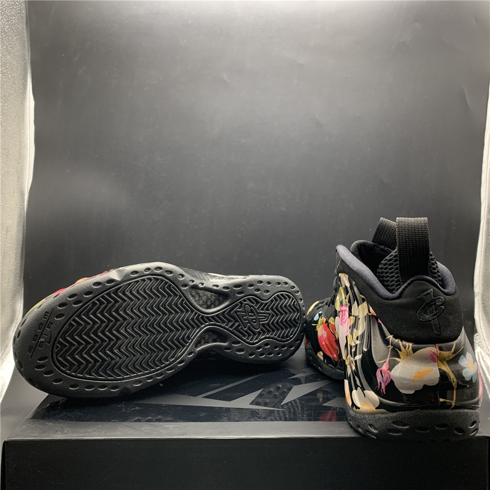 Air Foamposite 314996-012