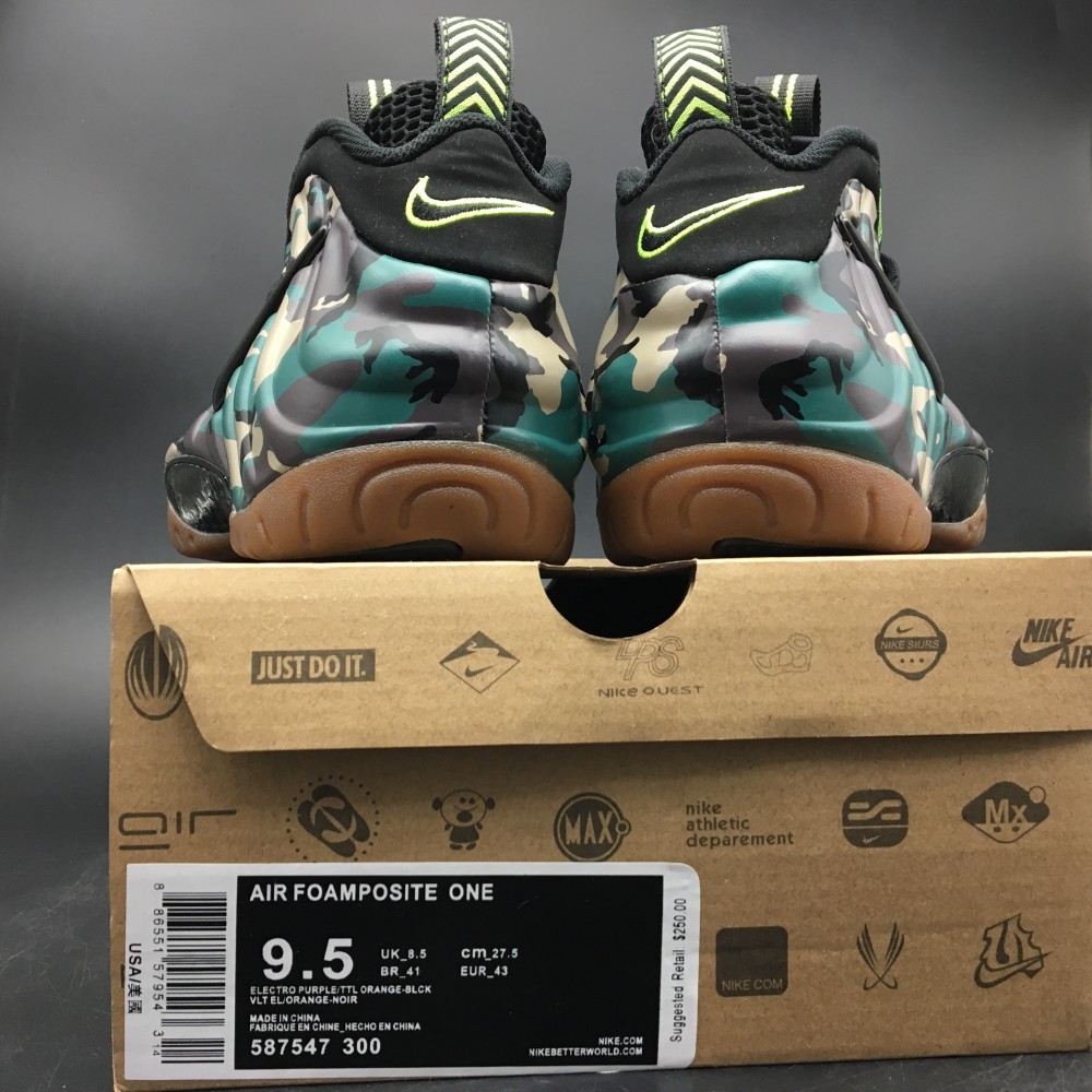 Nike Air Foamposite  587547-300