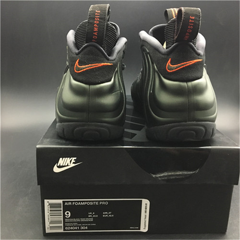 Nike Air Foamposite 624041-304