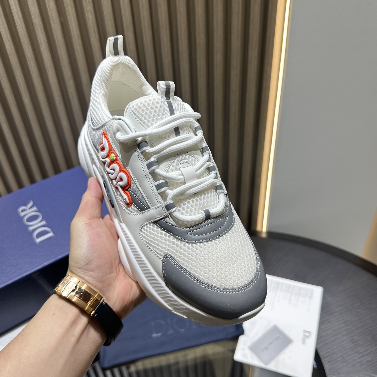 DIOR B22 SNEAKER