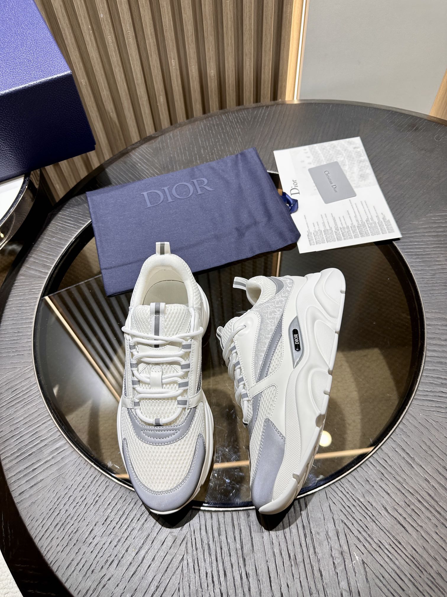 DIOR B22 SNEAKER