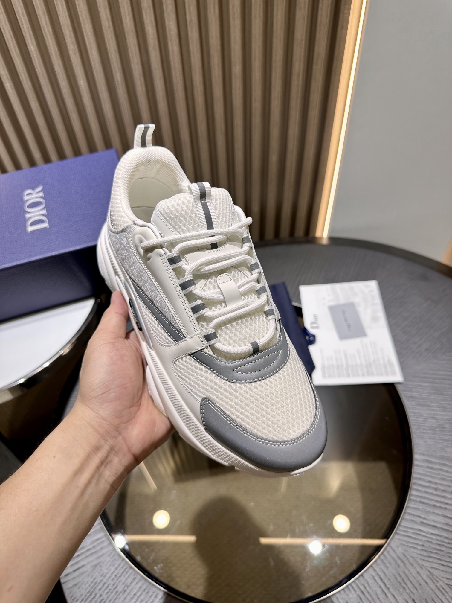 DIOR B22 SNEAKER