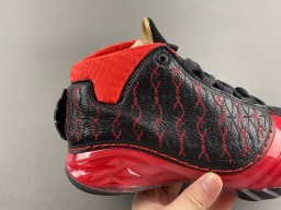 Air Jordan 23