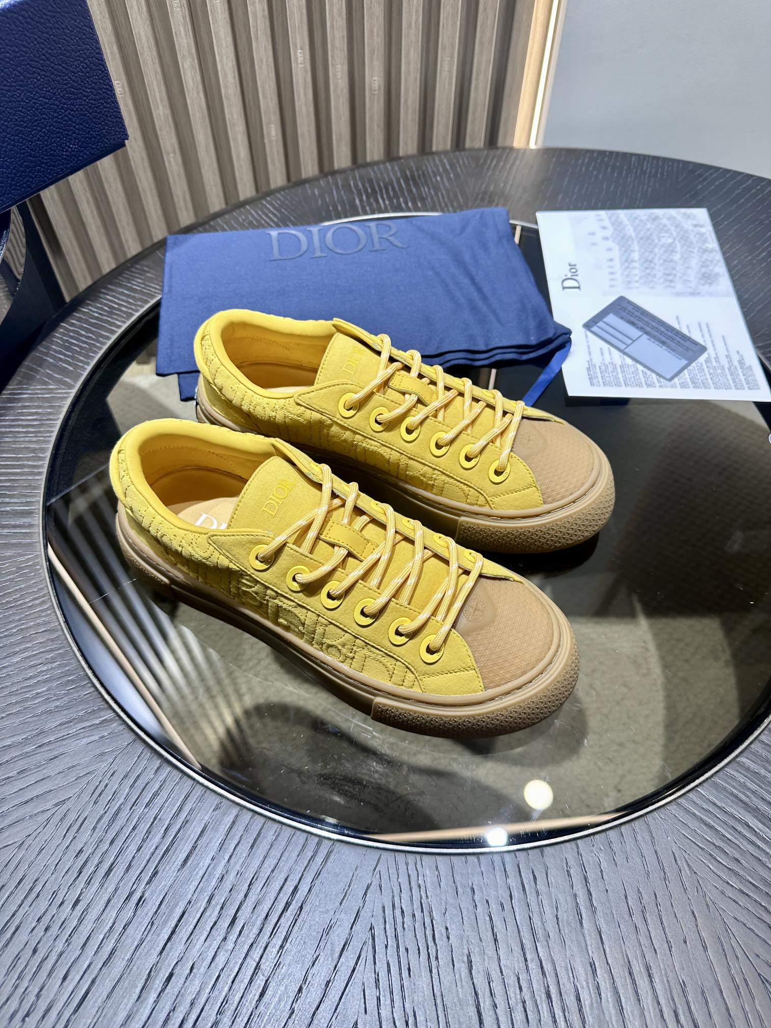 DIOR B33 SNEAKER