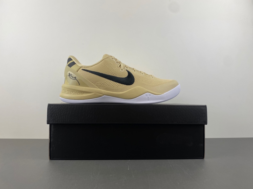 Nike Kobe 8 Protro “Champagne Gold”HM6469-701
