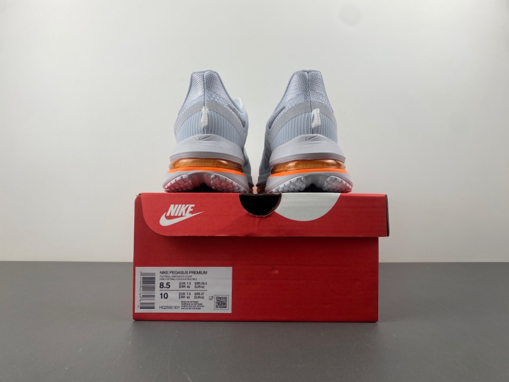 Nike Pegasus Premium HQ2593-004