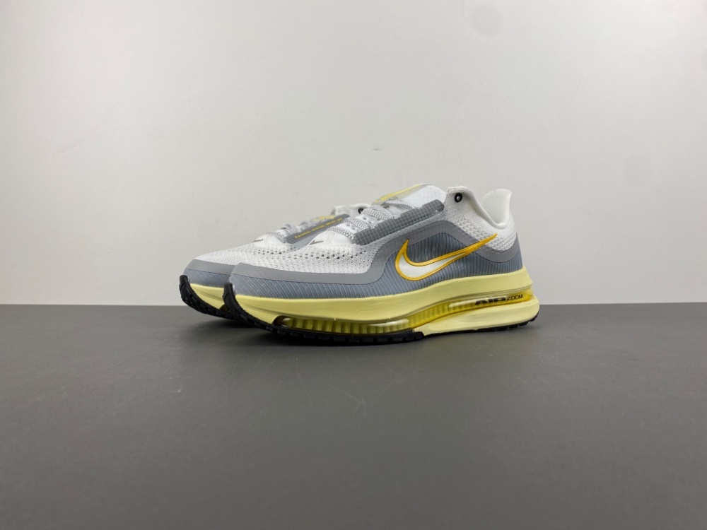 Nike Pegasus Premium