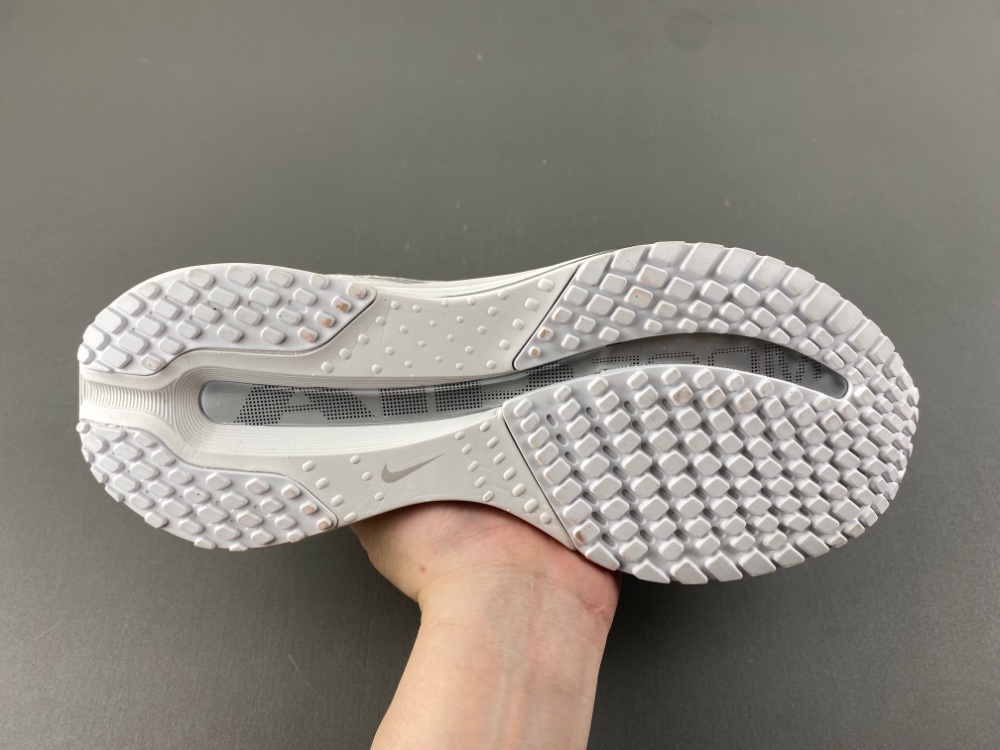 Nike Pegasus Premium