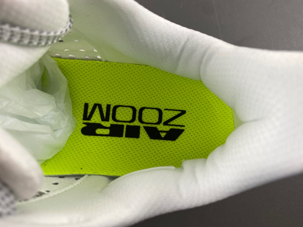 Nike Pegasus Premium HQ2592-100