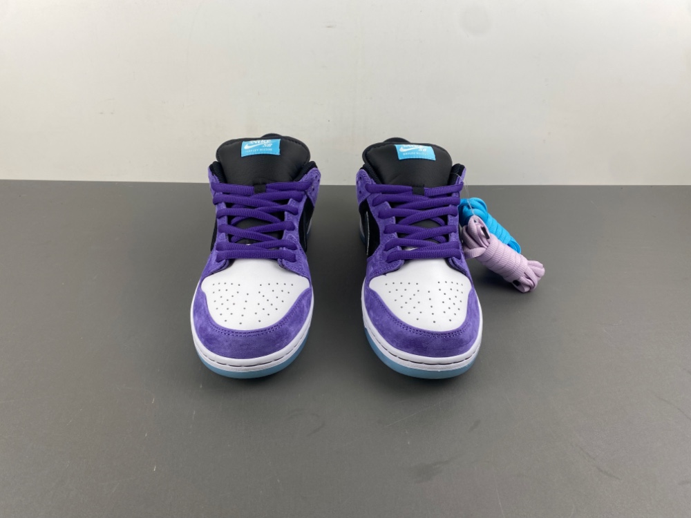 Hayley Wilson x Nike SB Dunk Low HJ0513-500