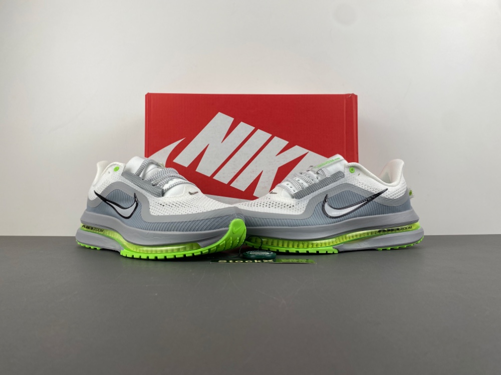 Nike Pegasus Premium