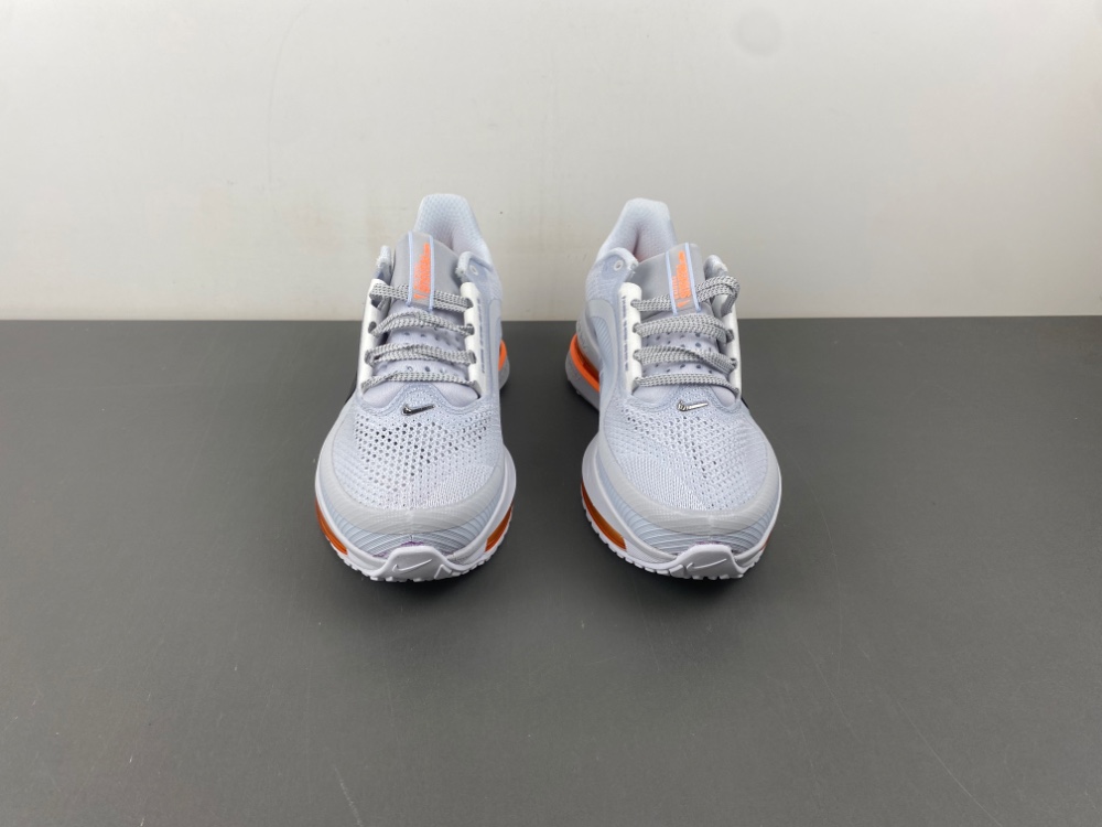 Nike Pegasus Premium HQ2593-004