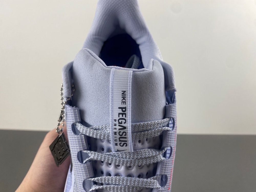 Nike Pegasus Premium 