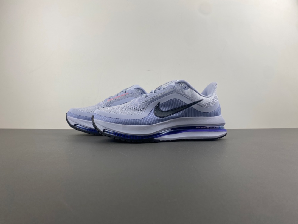 Nike Pegasus Premium 'Persian Violet' HQ2592-004