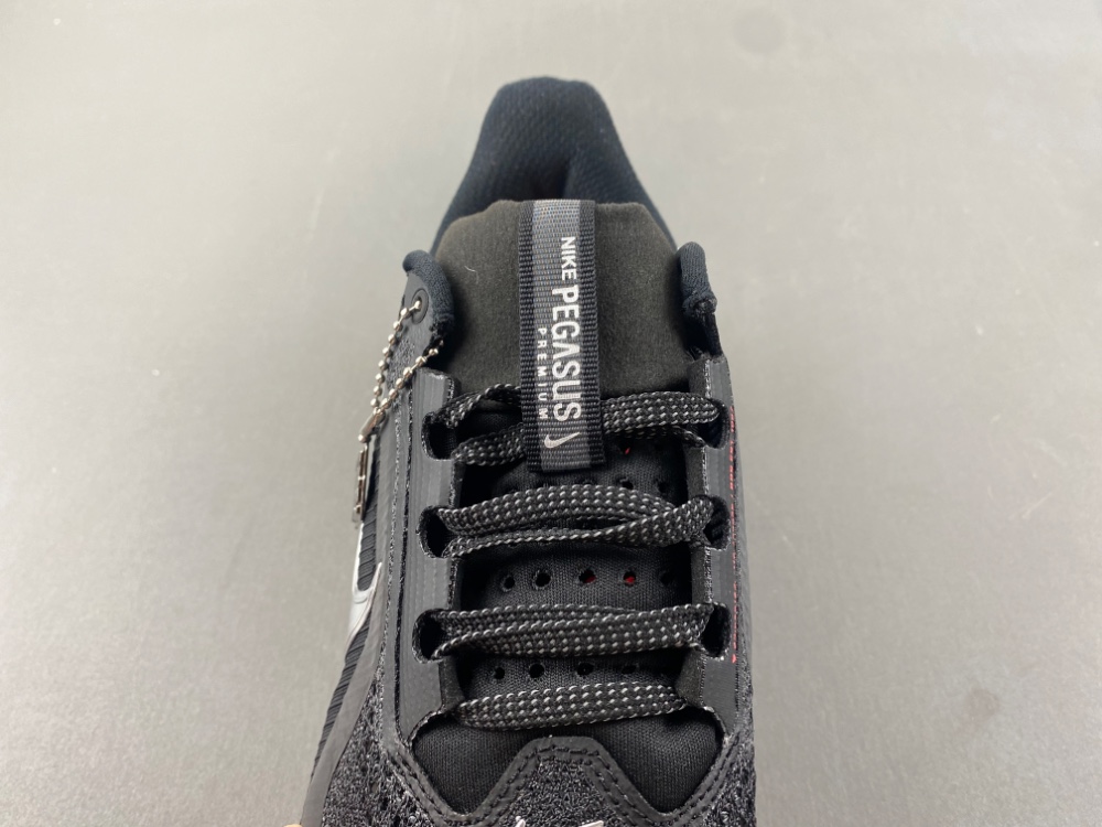 Nike Pegasus Premium HQ2593-003