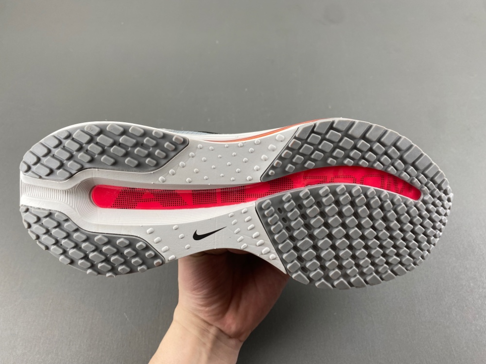 Nike Pegasus Premium