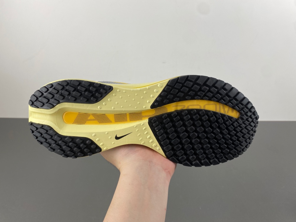 Nike Pegasus Premium