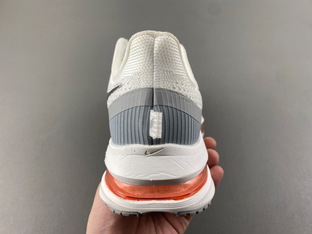 Nike Pegasus Premium