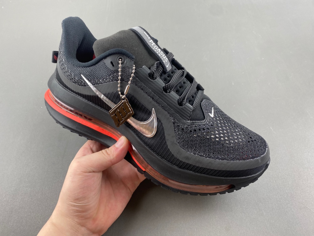 Nike Pegasus Premium HQ2593-003