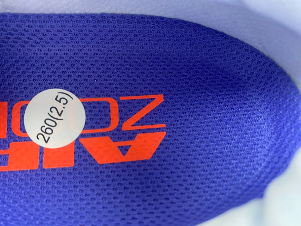 Nike Pegasus Premium 